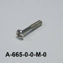 A-665 M4x22 mm CSB Metric Stainless Screw