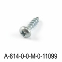 A-614 3x9,5 mm YSB Plastic Chump Screw