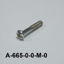 A-665 M4x22 mm CSB Metric Paslanmaz Vida 3191