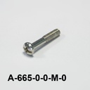 A-665 M4x22 mm CSB Metric Paslanmaz Vida