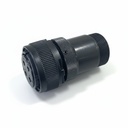 WPS3106A 22-22S-R Yan